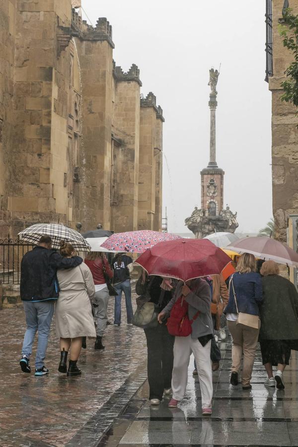 El turismo en el Puente de Todos los Santos en Córdoba, en imágenes