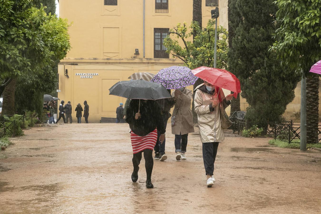 El turismo en el Puente de Todos los Santos en Córdoba, en imágenes