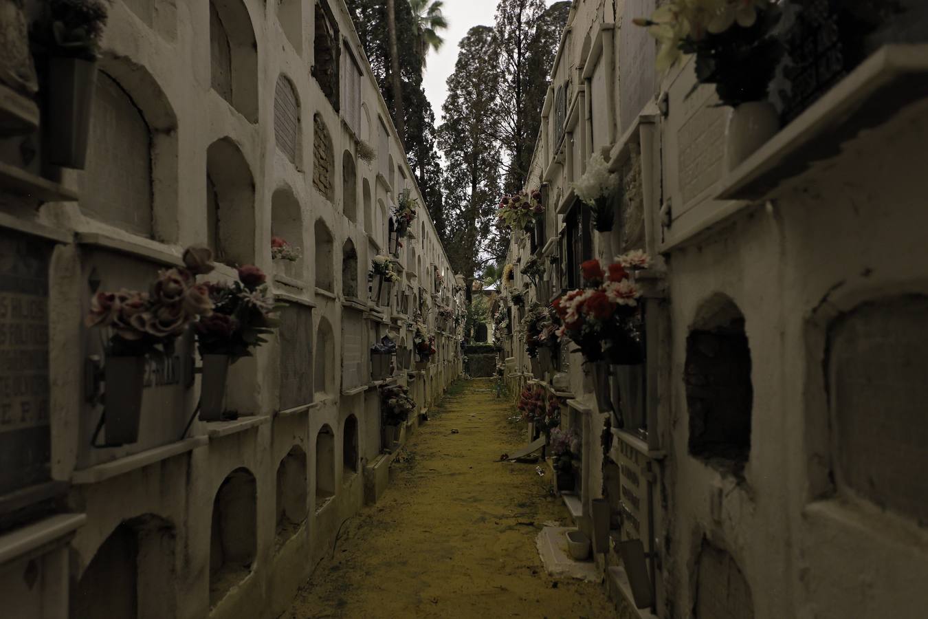 Un paseo, a oscuras, por el cementerio de San Fernando