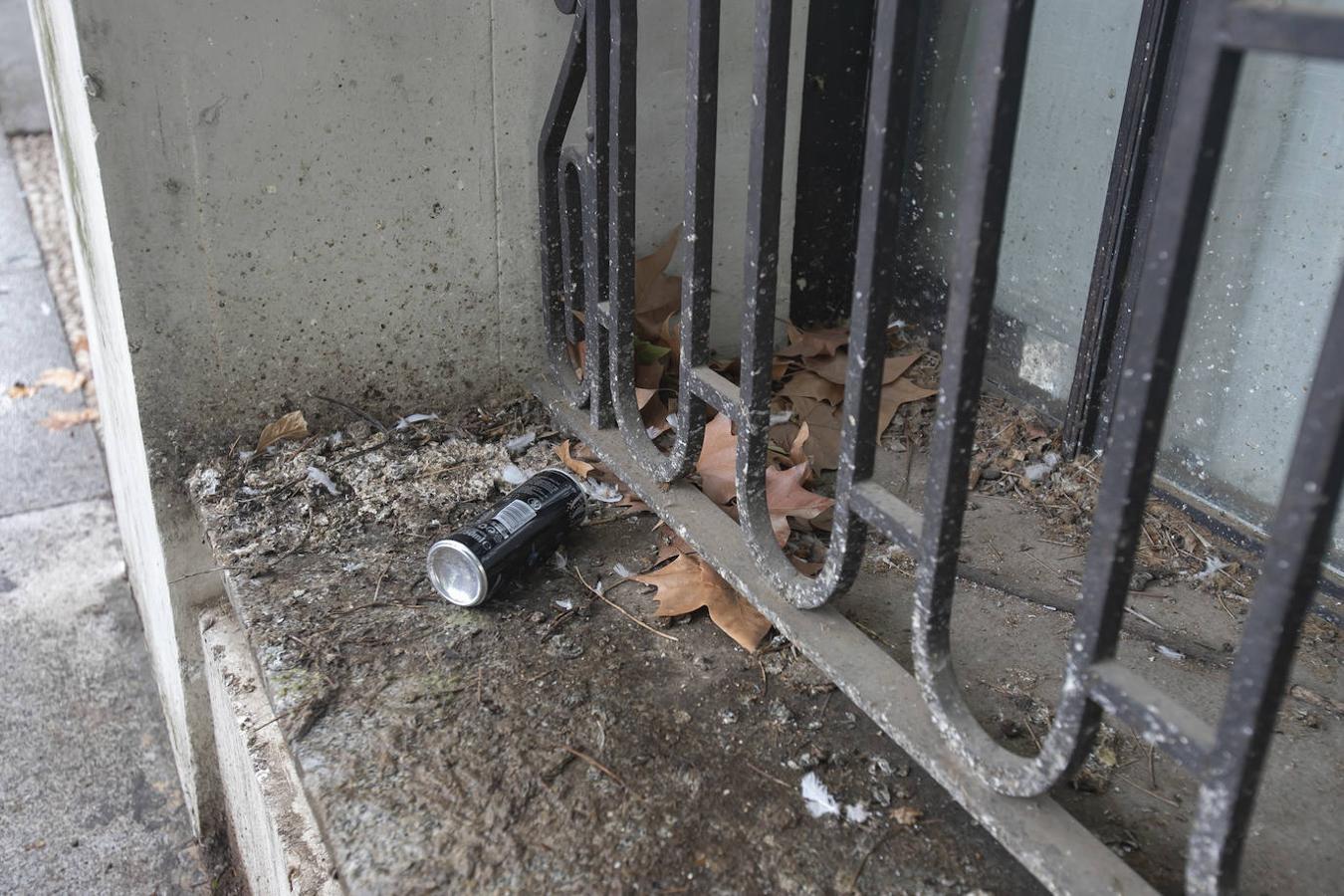 El deterioro de la Pérgola de Córdoba, en imágenes