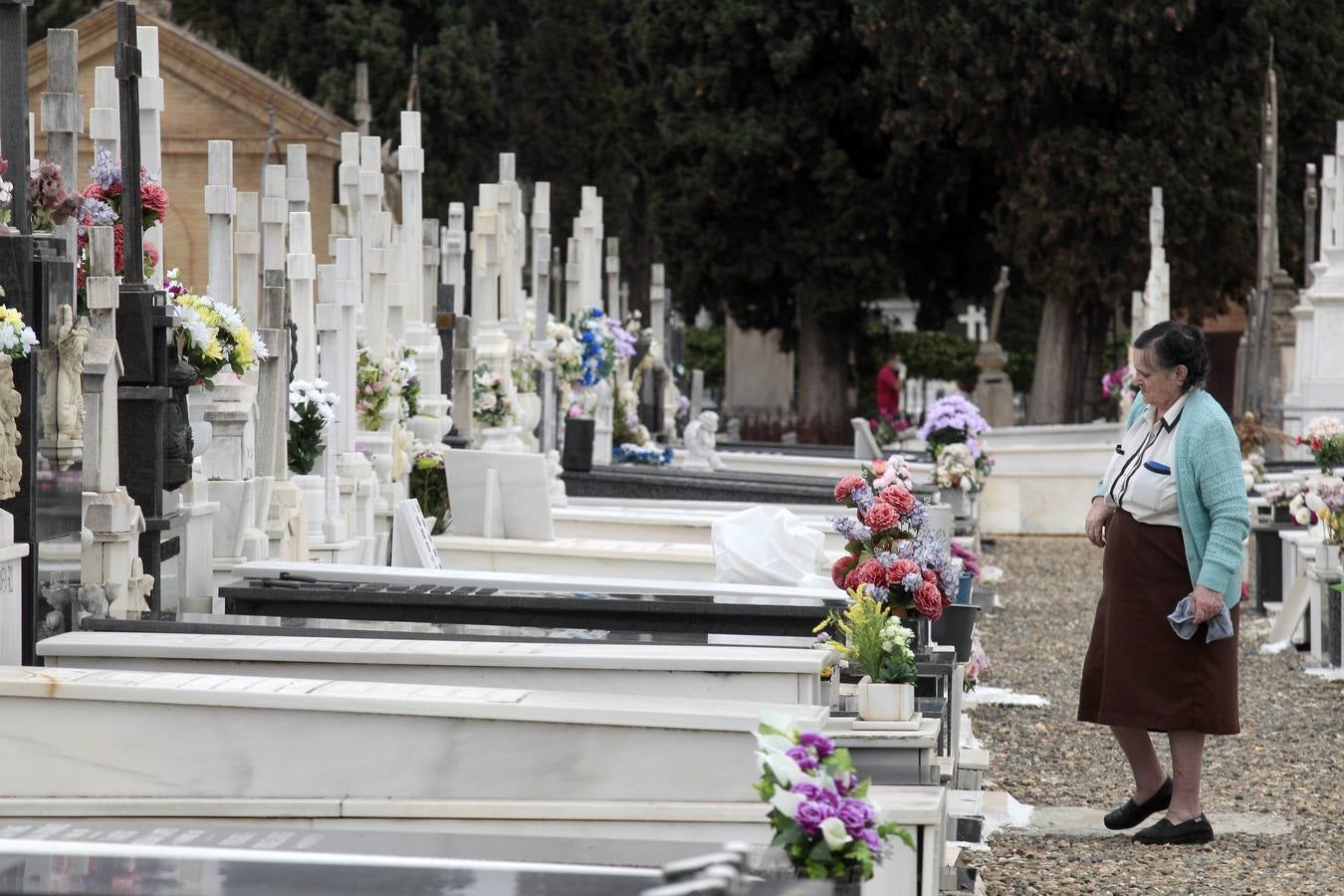 En imágenes, memoria y tradición en el cementerio de Sevilla