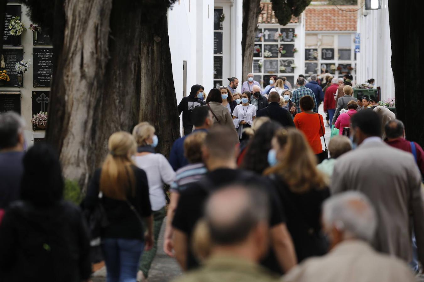 Las visitas a los cementerios el Día de Todos Los Santos en Córdoba, en imágenes