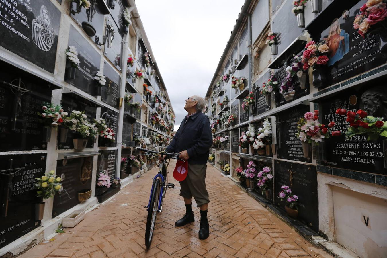 Las visitas a los cementerios el Día de Todos Los Santos en Córdoba, en imágenes