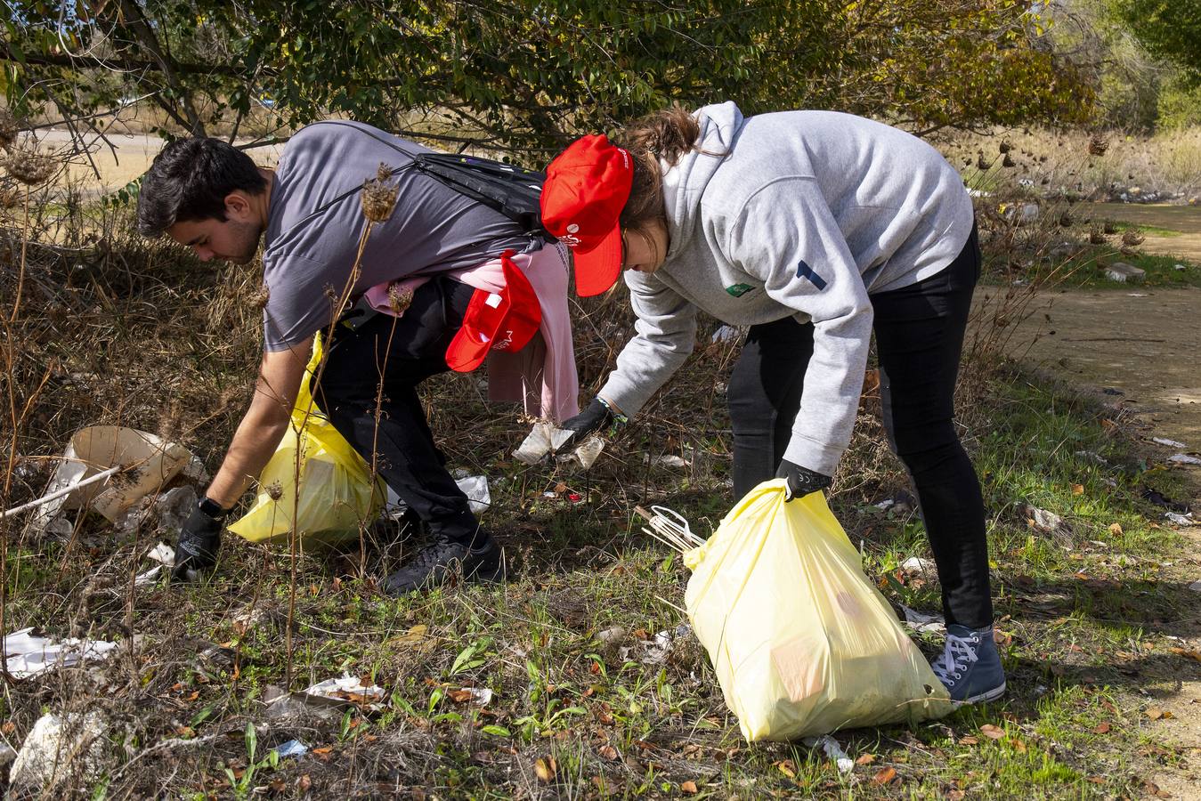 Recogida de residuos en la ribera del Guadalquivir de Sevilla, en imágenes