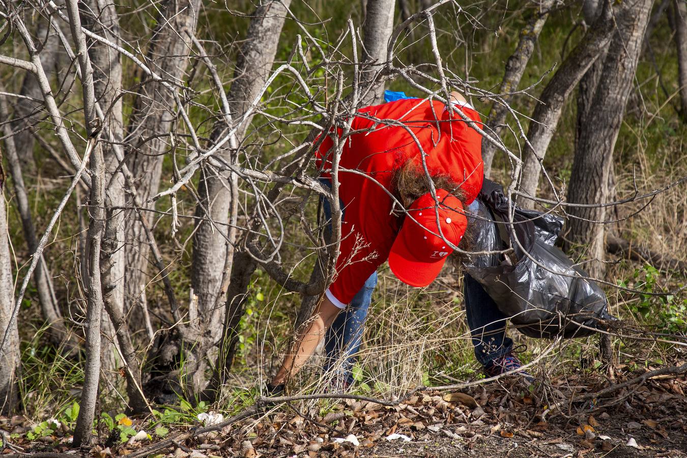 Recogida de residuos en la ribera del Guadalquivir de Sevilla, en imágenes