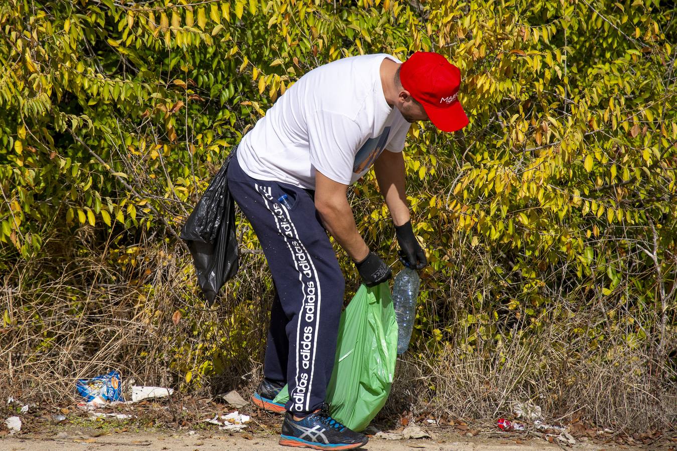 Recogida de residuos en la ribera del Guadalquivir de Sevilla, en imágenes