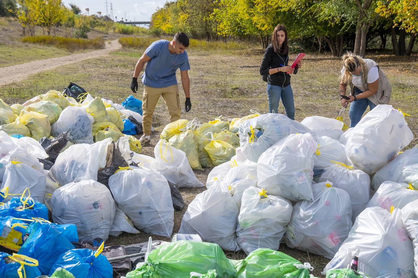 Recogida de residuos en la ribera del Guadalquivir de Sevilla, en imágenes