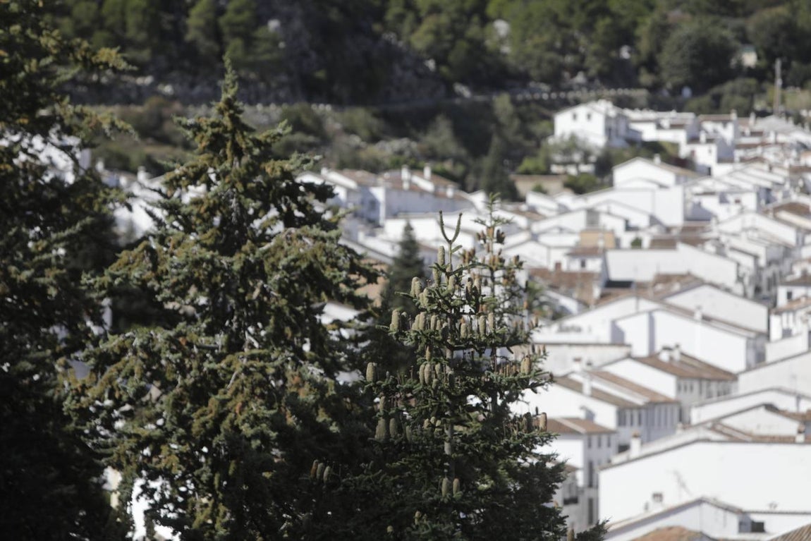 Fotos: Grazalema, en imágenes