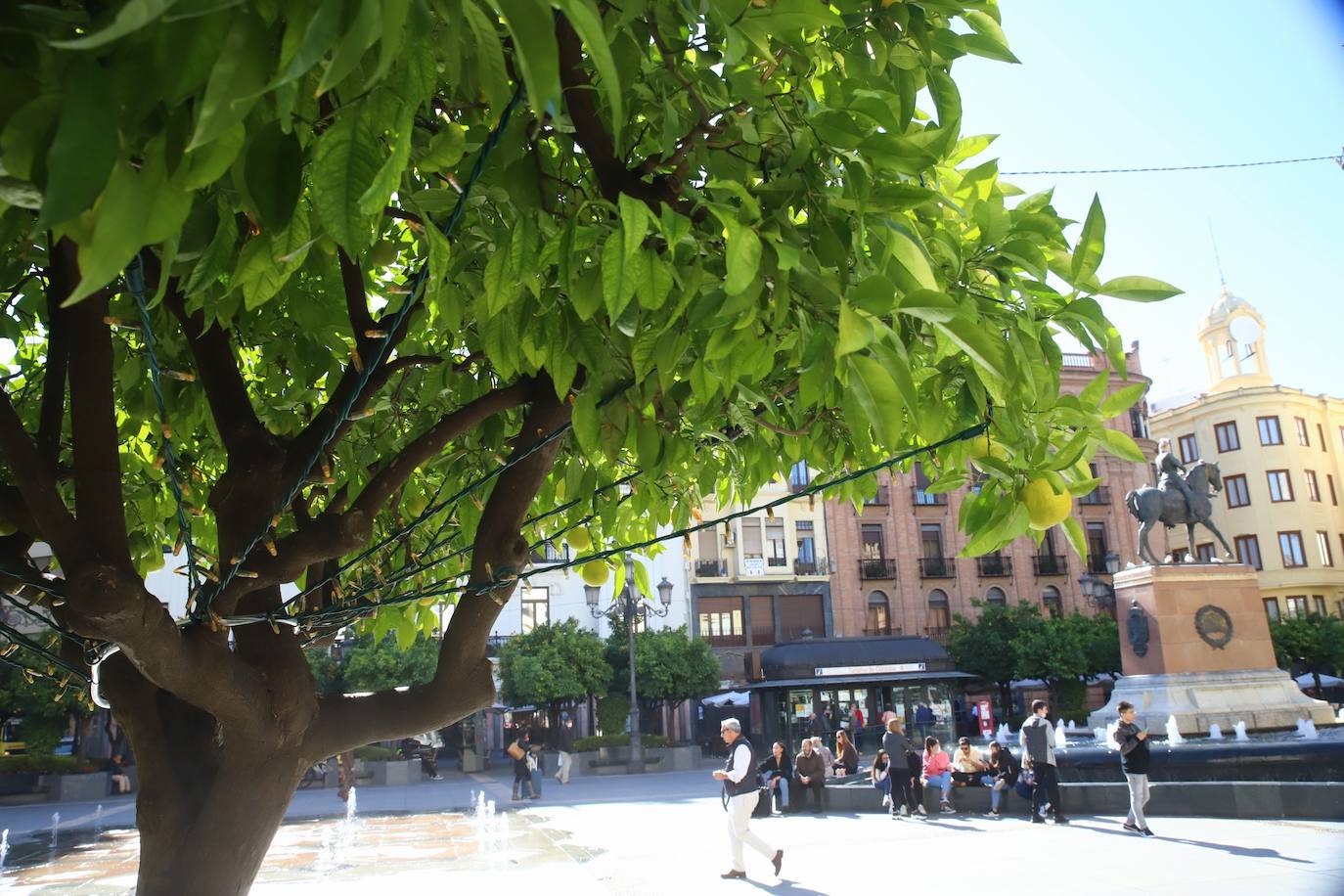 Córdoba se prepara ya para la Navidad con la instalación del alumbrado, en imágenes