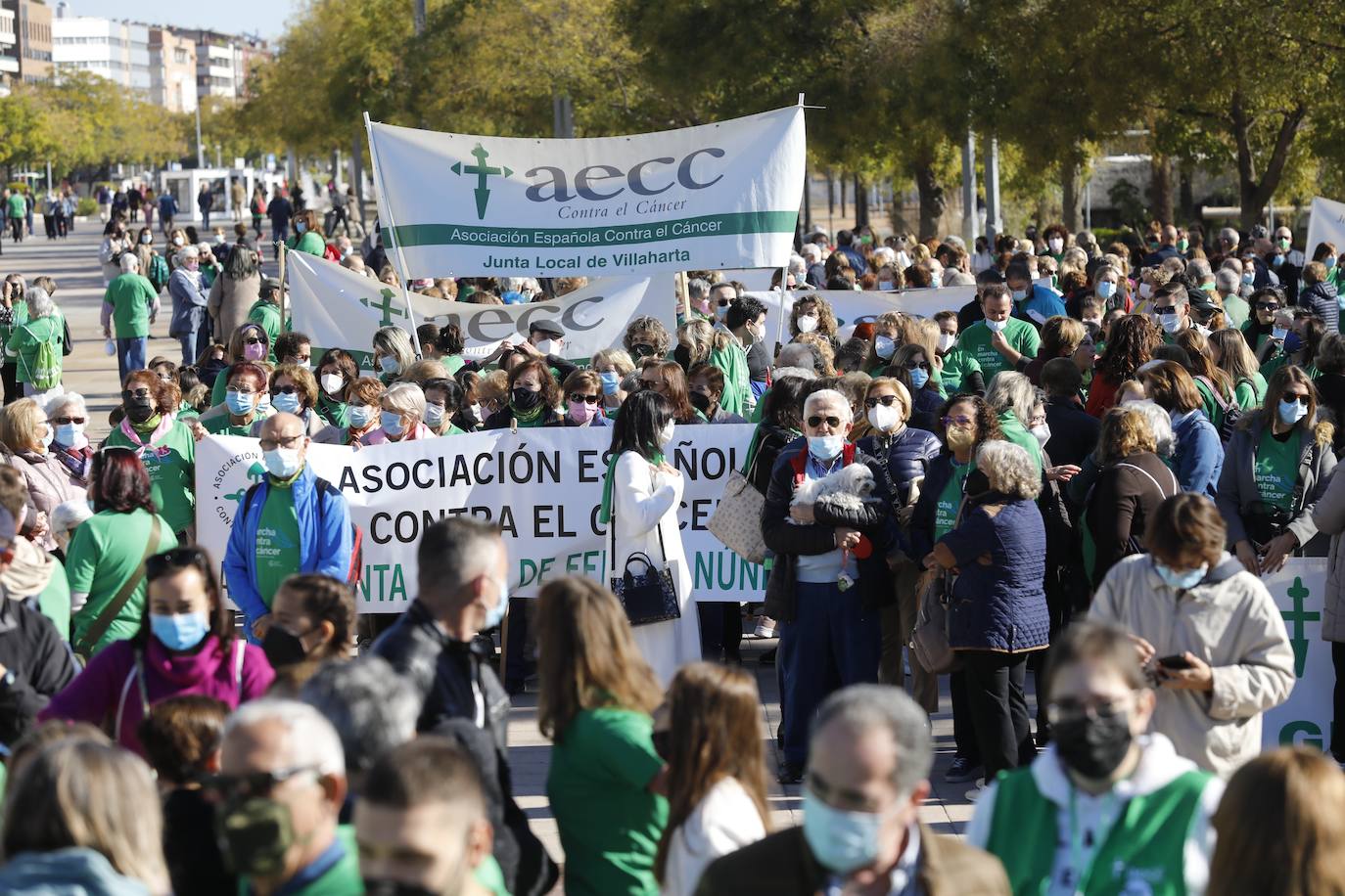 Felipe y Alfonso Reyes apadrinan la carrera contra el cáncer de Córdoba, en imágenes