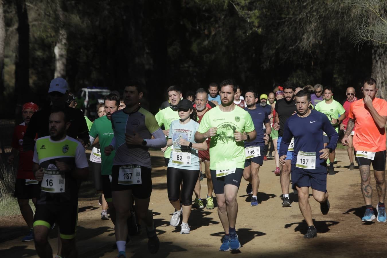 FOTOS: El VII Cross Pinar de La Plata de Arcos, en imágenes