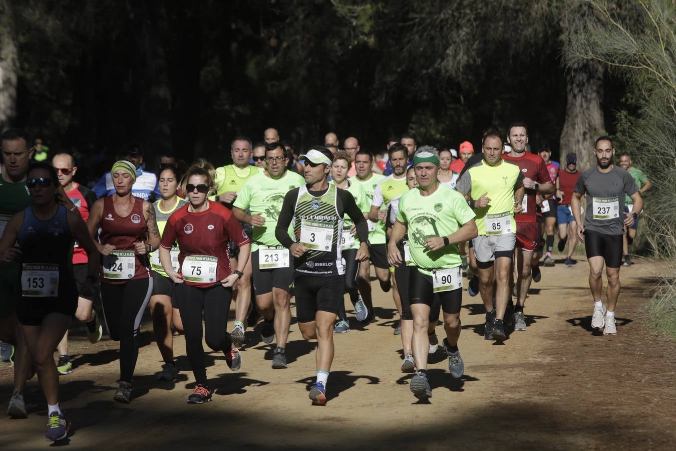 FOTOS: El VII Cross Pinar de La Plata de Arcos, en imágenes