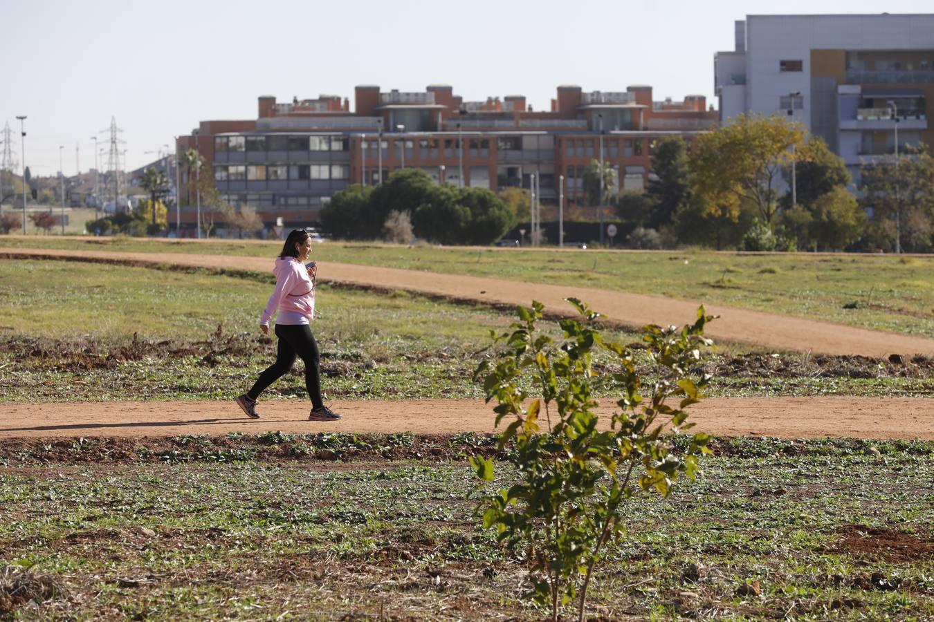 Los nuevos parques de Córdoba, en imágenes