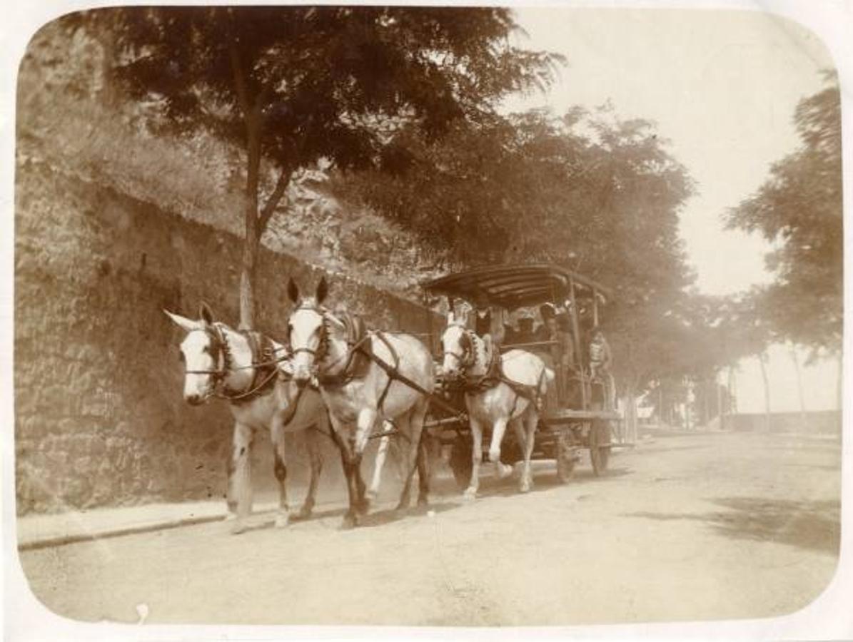 Ómnibus tirado por mulas bajando con viajeros por la calle Gerardo Lobo hacia la Estación de Toledo en 1905. Archivo Municipal de Toledo. 