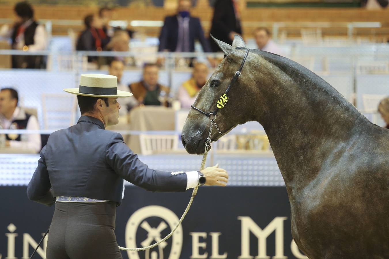 En imágenes, ambiente de la primera jornada del Sicab en Sevilla