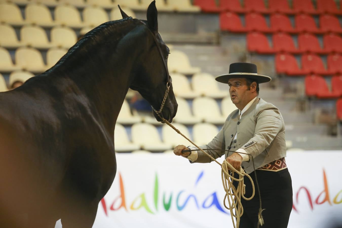 En imágenes, ambiente de la primera jornada del Sicab en Sevilla