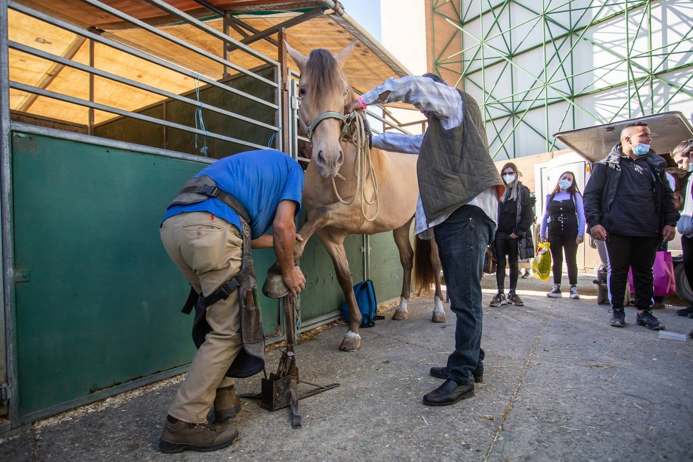 Sicab 2021: «El amor por la cría de caballo es inagotable»