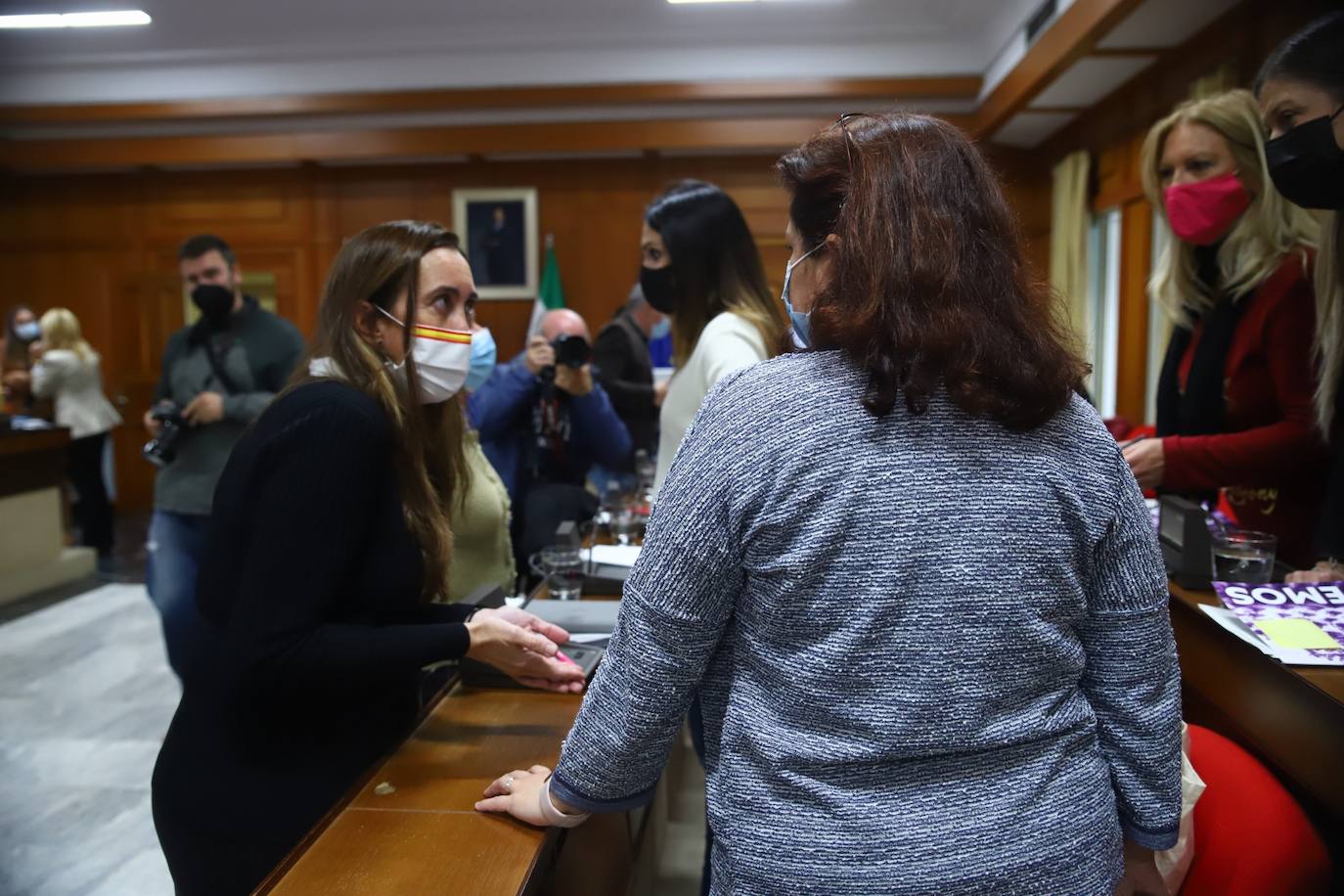 El Pleno del Ayuntamiento de Córdoba, en imágenes