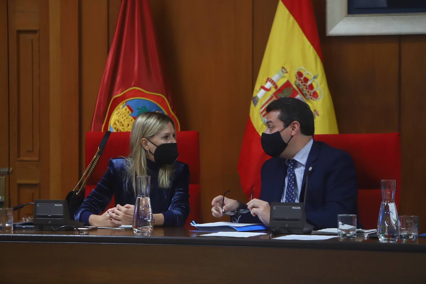 El Pleno del Ayuntamiento de Córdoba, en imágenes