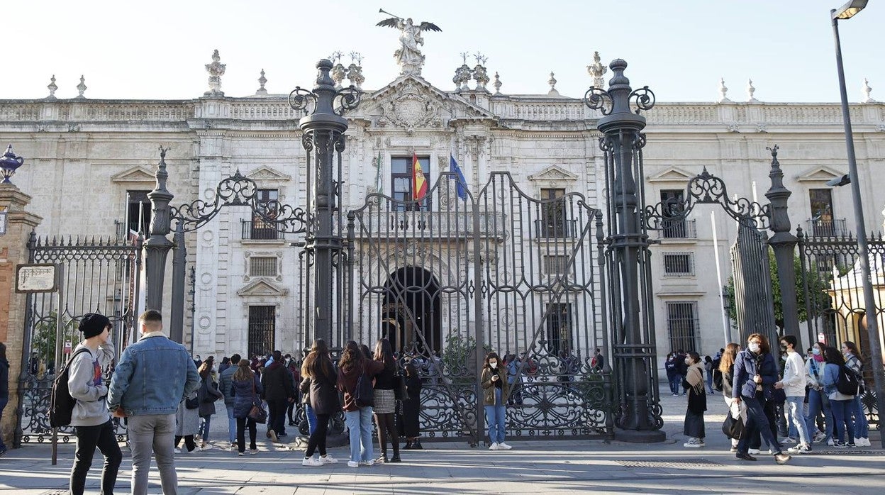 Movilización de los estudiantes de la Universidad de Sevilla, en imágenes