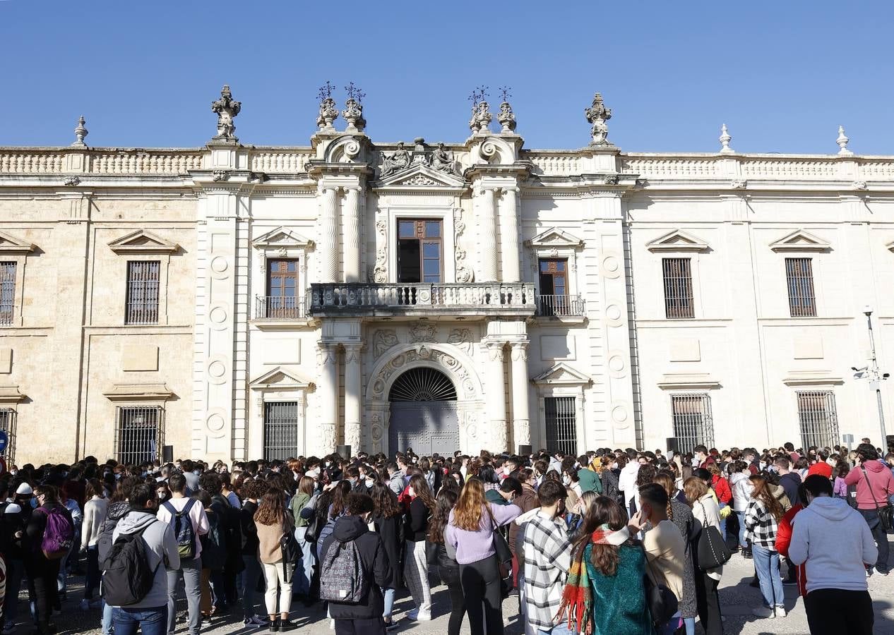 Movilización de los estudiantes de la Universidad de Sevilla, en imágenes