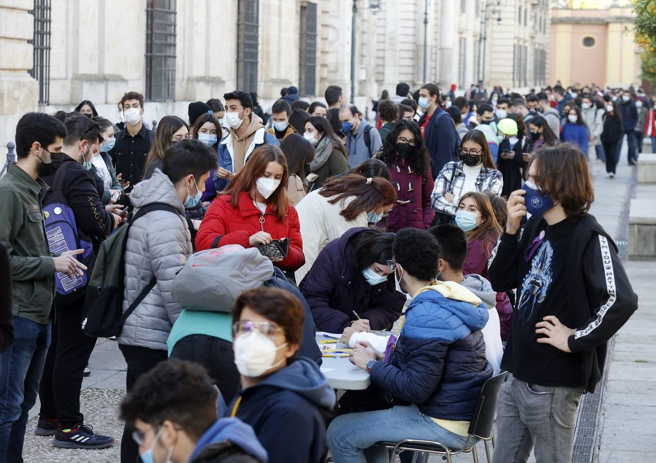 Movilización de los estudiantes de la Universidad de Sevilla, en imágenes