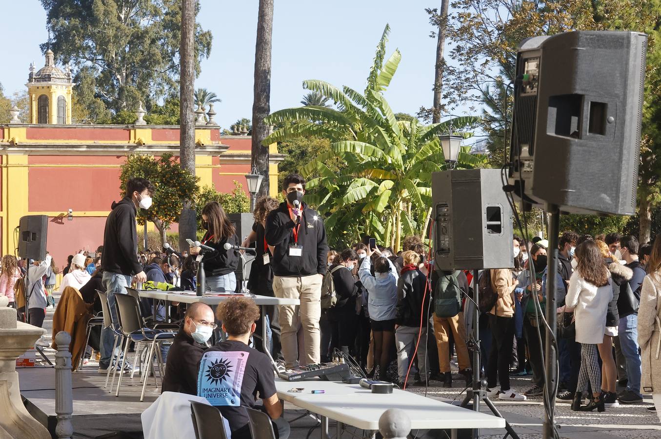 Movilización de los estudiantes de la Universidad de Sevilla, en imágenes