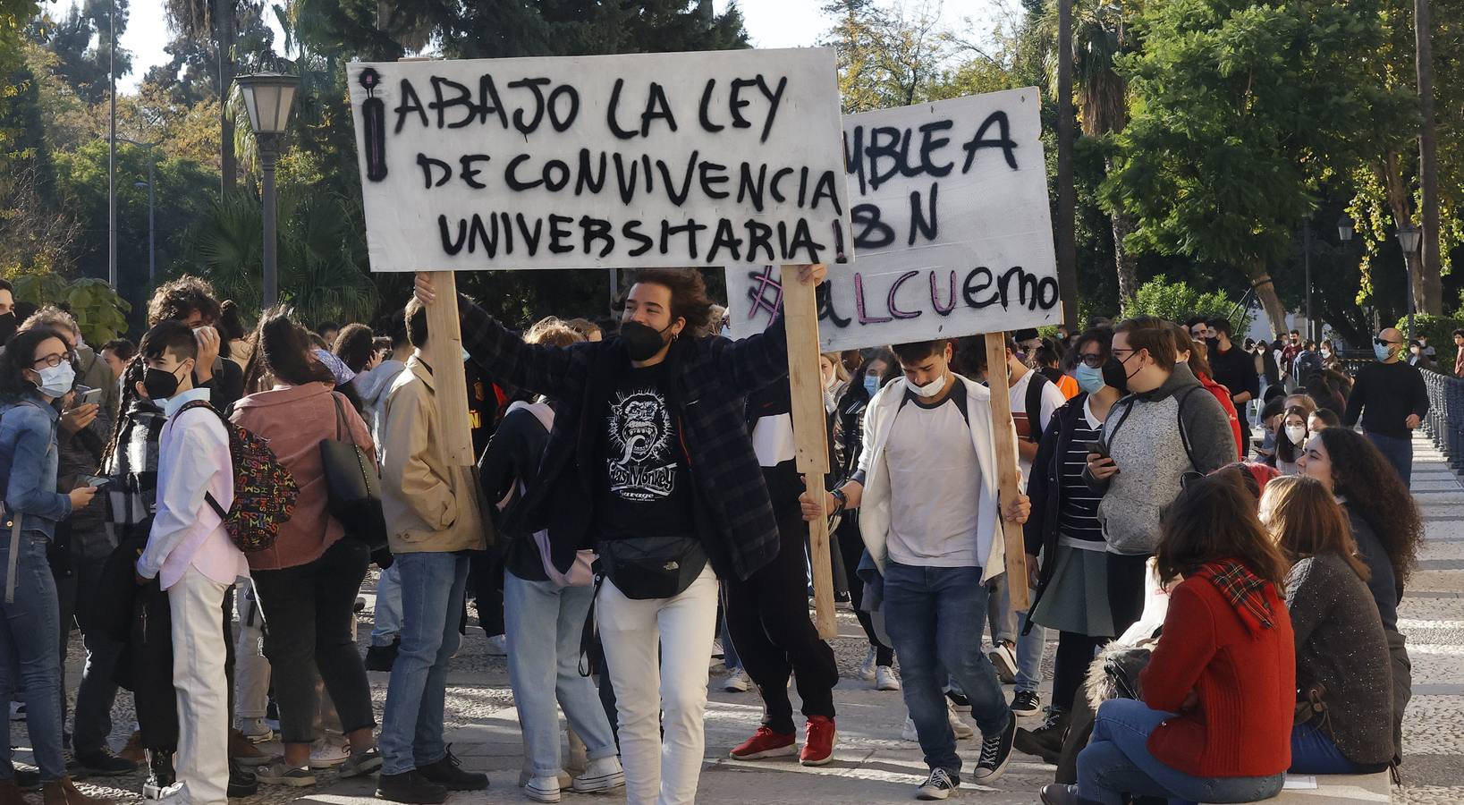 Movilización de los estudiantes de la Universidad de Sevilla, en imágenes