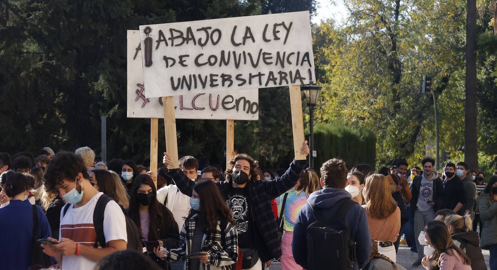 Movilización de los estudiantes de la Universidad de Sevilla, en imágenes