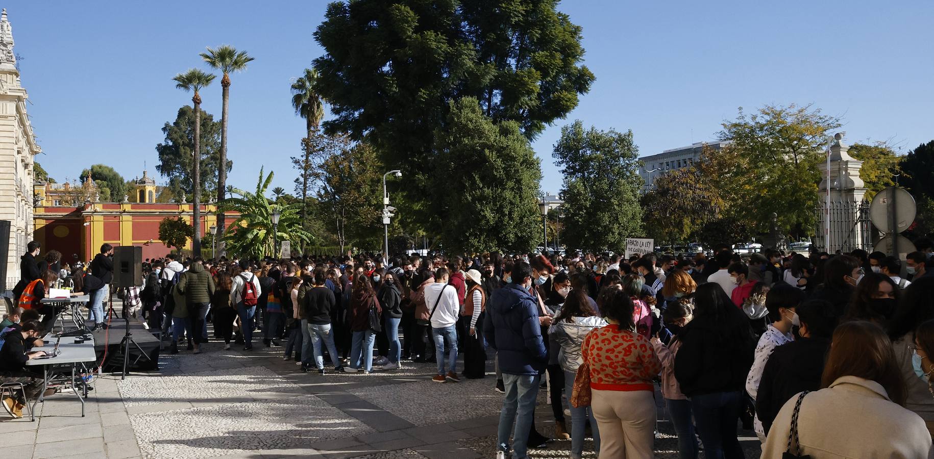 Movilización de los estudiantes de la Universidad de Sevilla, en imágenes