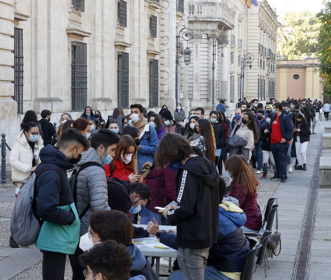 Movilización de los estudiantes de la Universidad de Sevilla, en imágenes