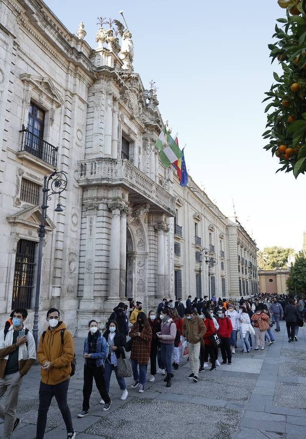 Movilización de los estudiantes de la Universidad de Sevilla, en imágenes