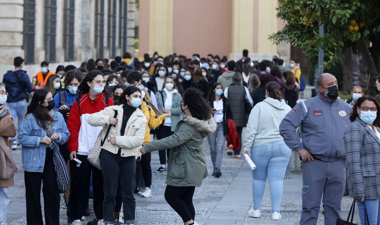 Movilización de los estudiantes de la Universidad de Sevilla, en imágenes