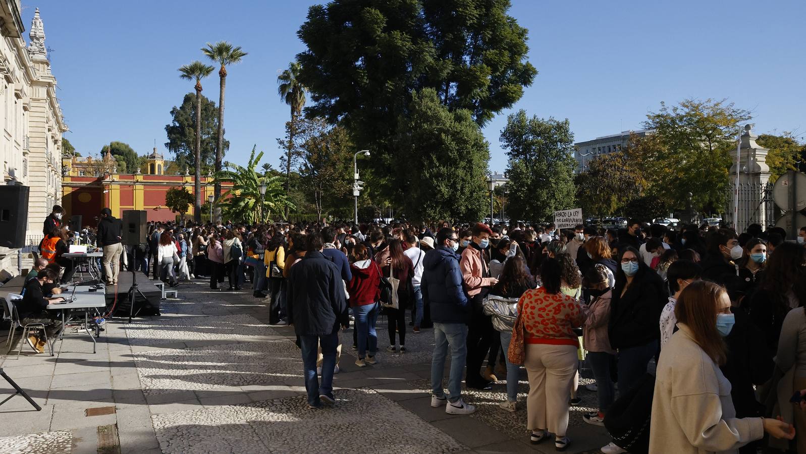 Movilización de los estudiantes de la Universidad de Sevilla, en imágenes