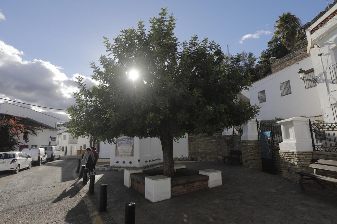 Los encantos de Algodonales, en imágenes