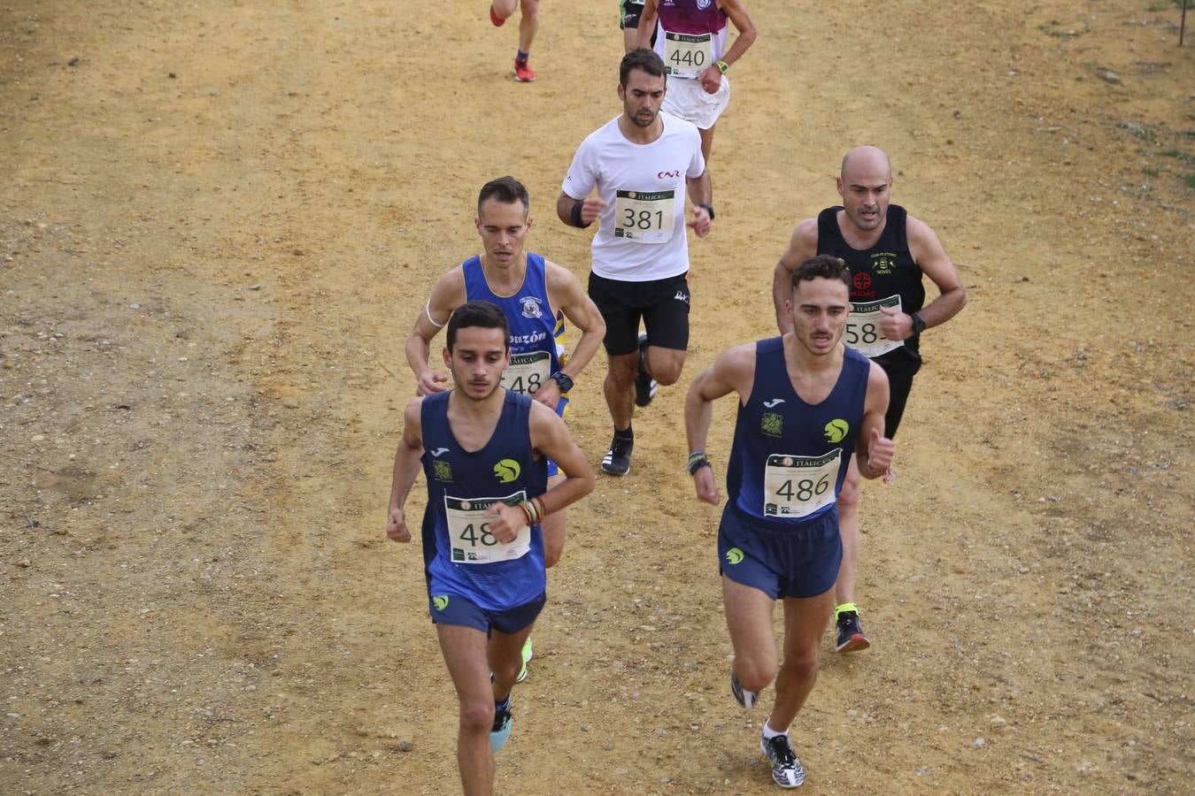 Celebración de las pruebas populares del Cross de Itálica