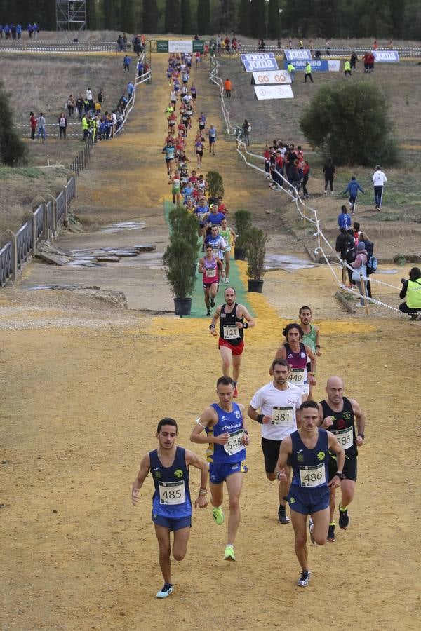 Celebración de las pruebas populares del Cross de Itálica