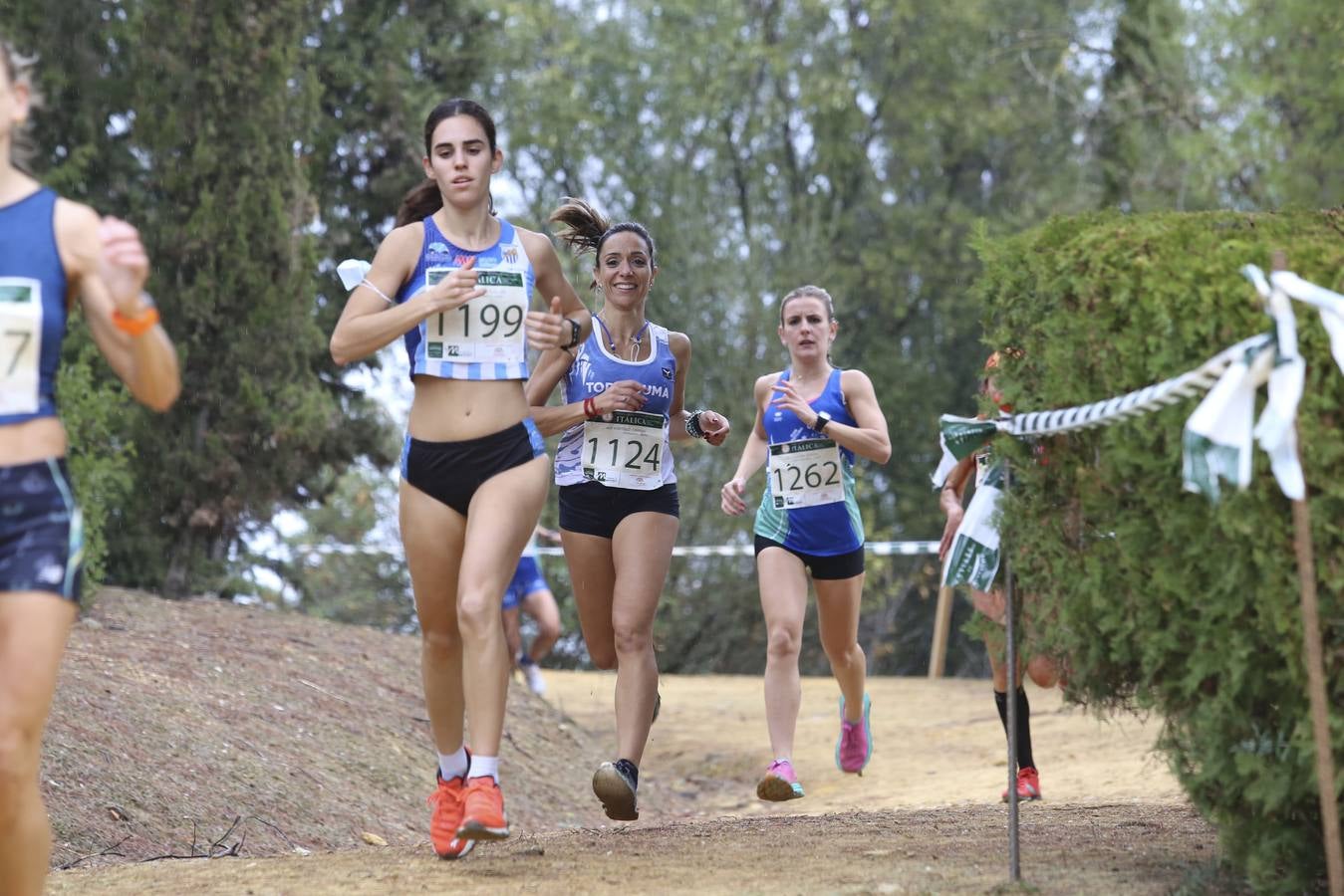 Celebración de las pruebas populares del Cross de Itálica