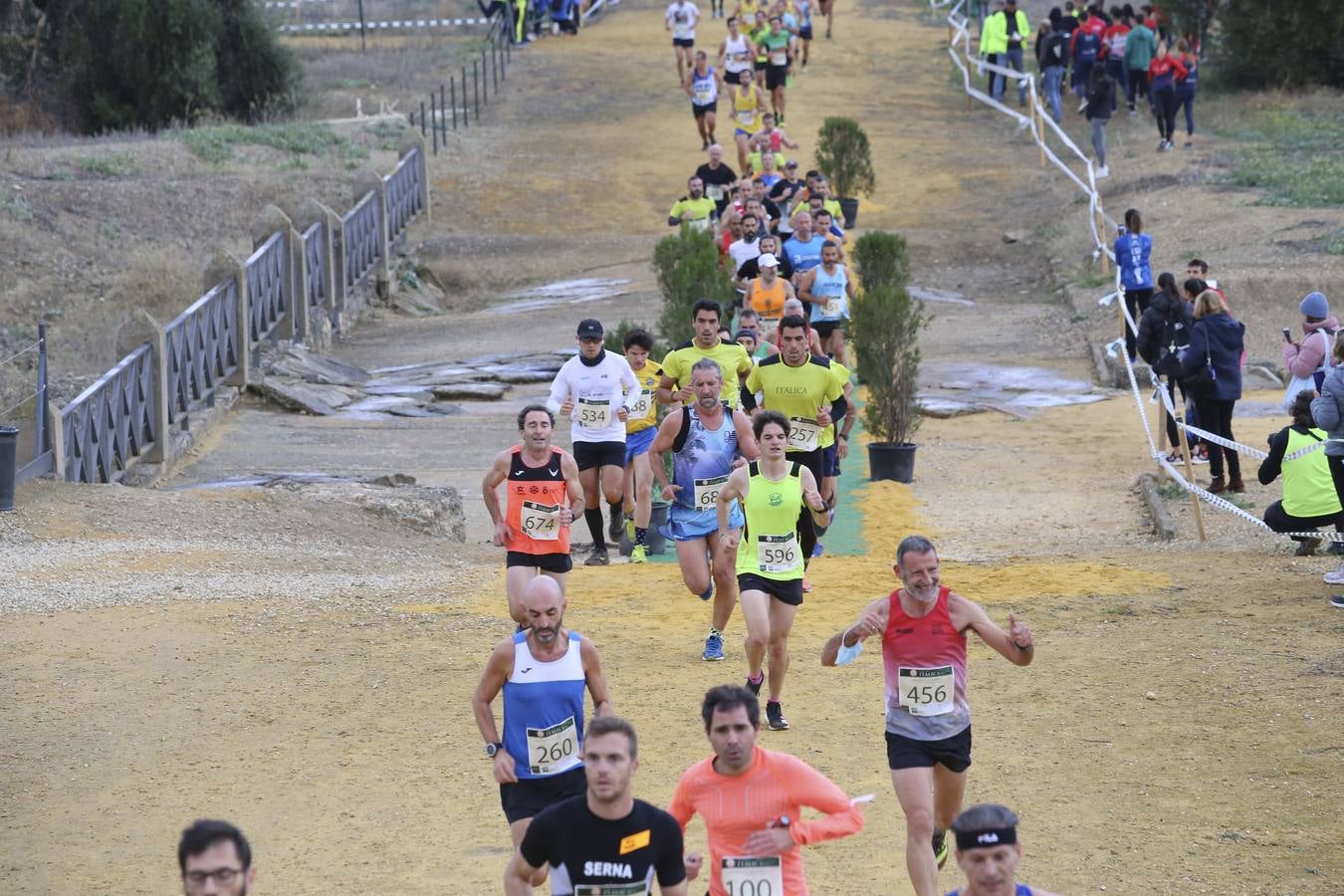 Celebración de las pruebas populares del Cross de Itálica