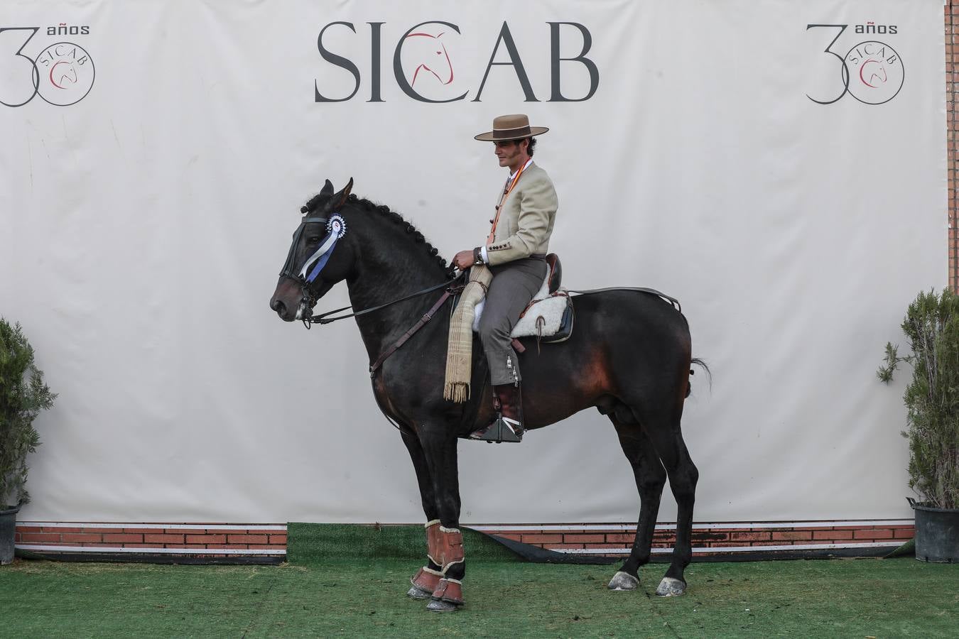 Lleno absoluto en la última jornada del Sicab