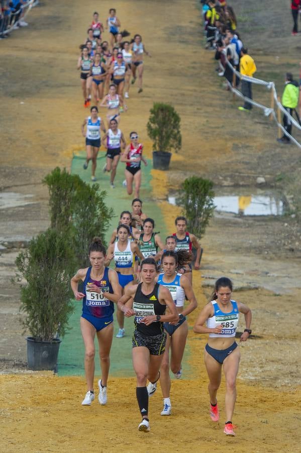 XXXIX edición del Cross Internacional de Itálica