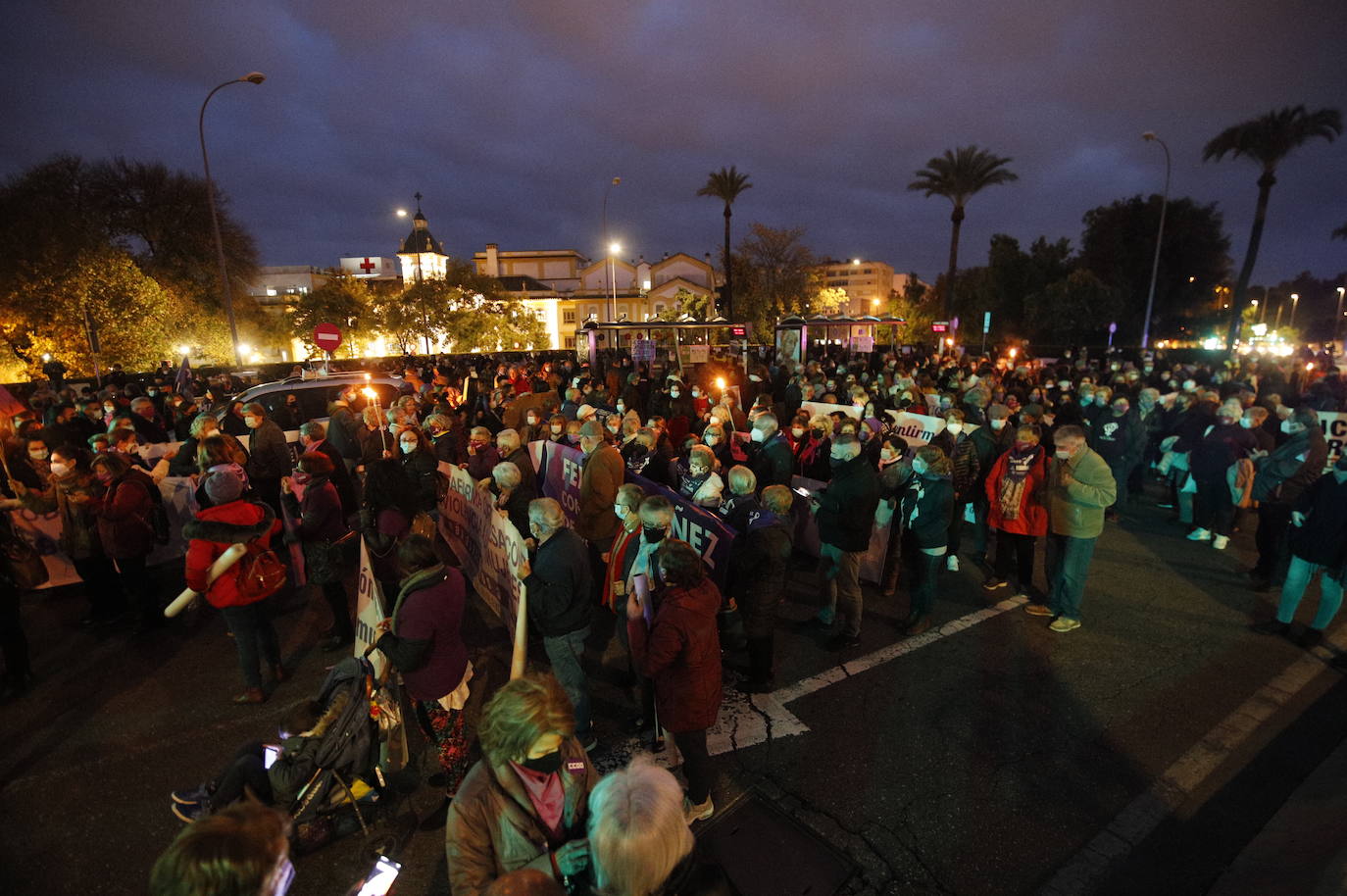 La manifestación contra la violencia machista en Córdoba, en imágenes