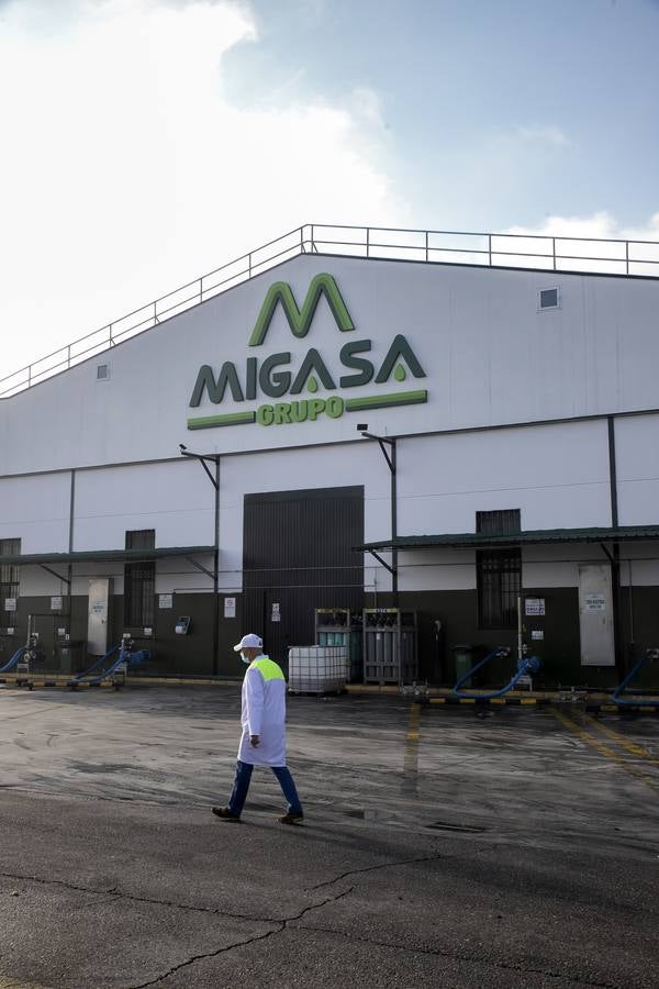 En imágenes, la planta de Migasa en Córdoba