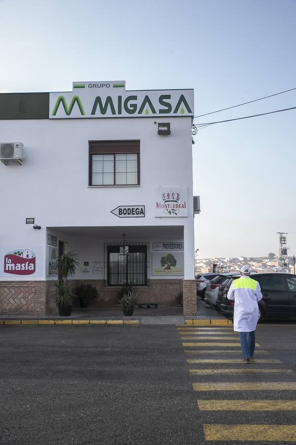 En imágenes, la planta de Migasa en Córdoba