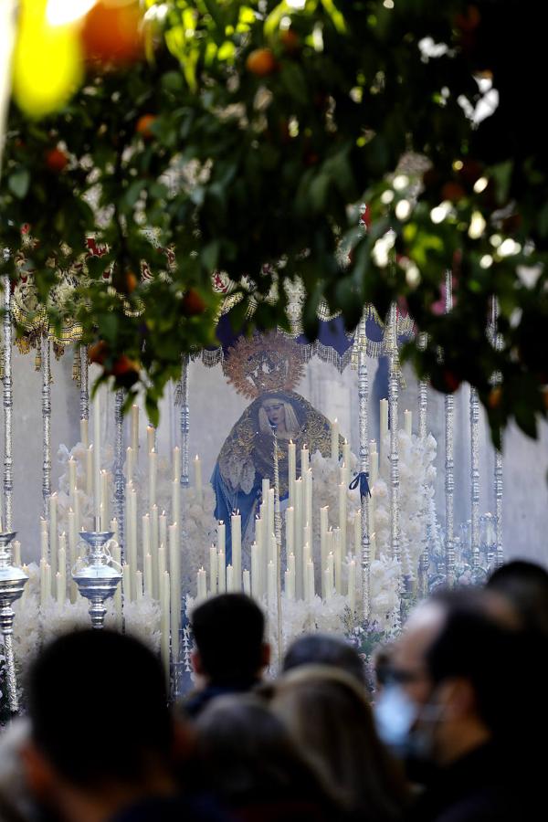 La procesión de acción de gracias de la Virgen de la Salud en Córdoba, en imágenes