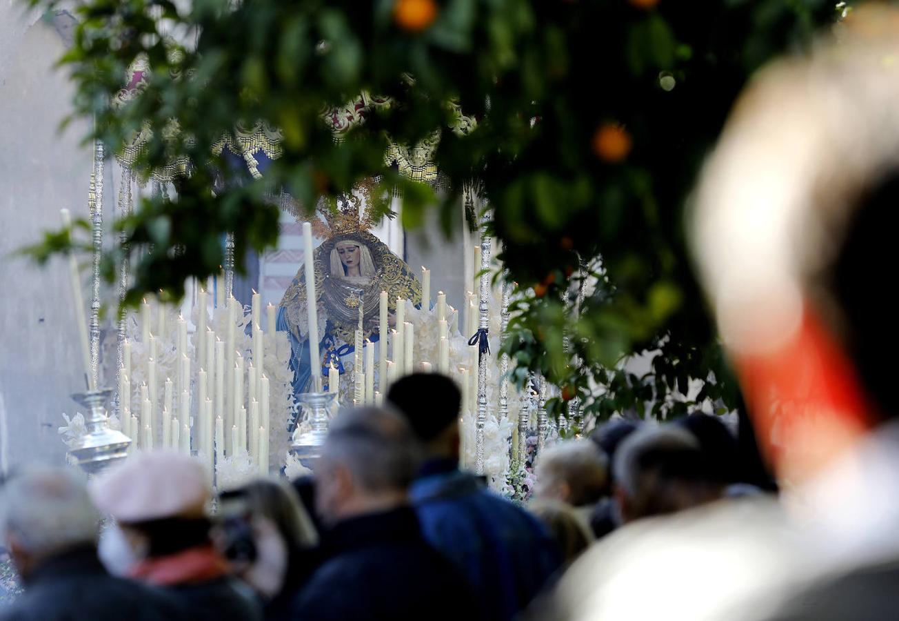 La procesión de acción de gracias de la Virgen de la Salud en Córdoba, en imágenes