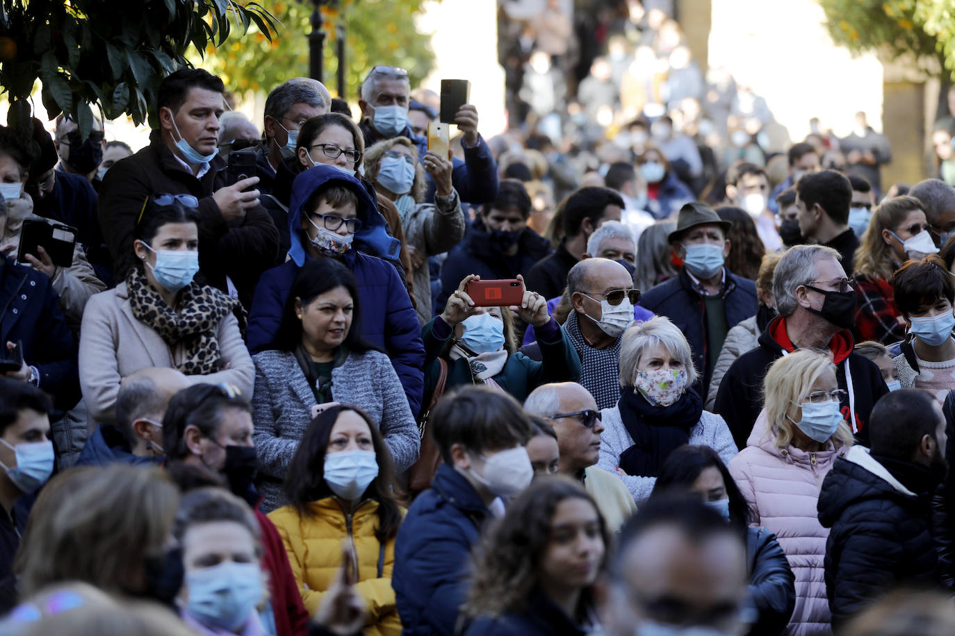 La procesión de acción de gracias de la Virgen de la Salud en Córdoba, en imágenes