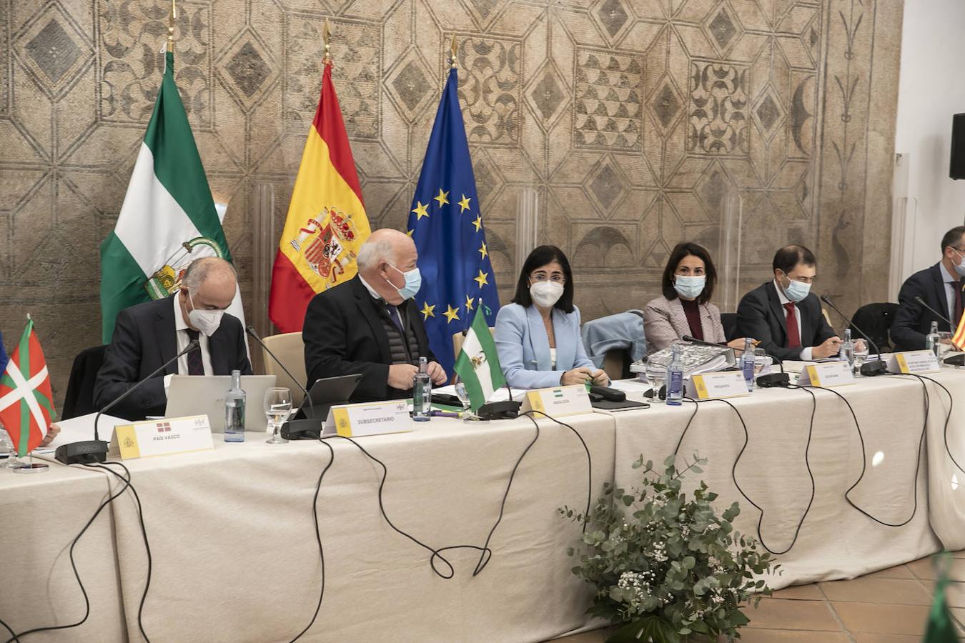 El pleno del Consejo de Salud en Córdoba, en imágenes