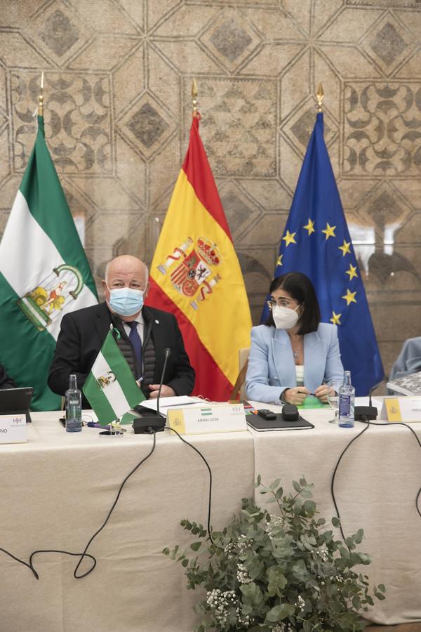 El pleno del Consejo de Salud en Córdoba, en imágenes