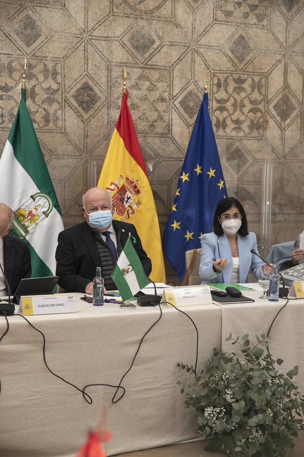 El pleno del Consejo de Salud en Córdoba, en imágenes